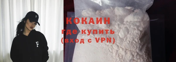 индика Алексеевка