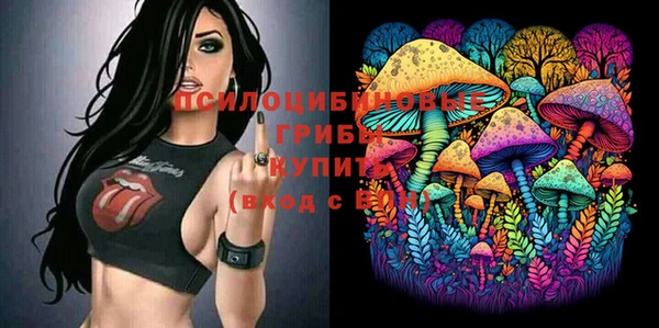 индика Алексеевка