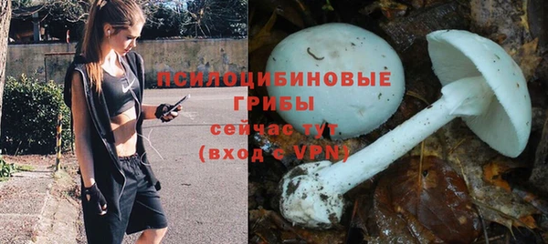 дурь Алзамай