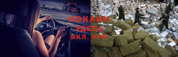 индика Алексеевка