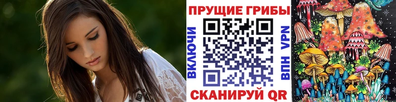 Галлюциногенные грибы ЛСД  Пикалёво 